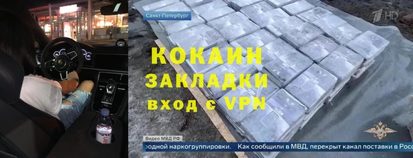 твердый Новозыбков