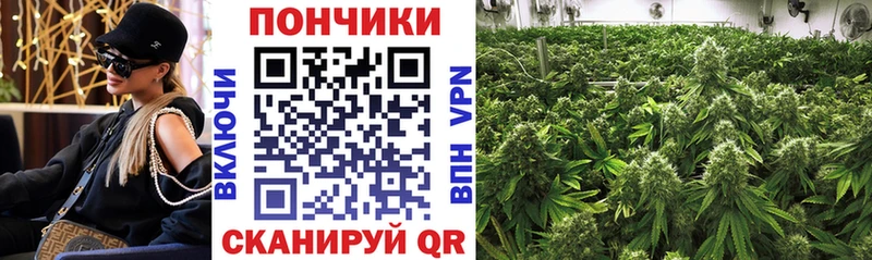 площадка телеграм  Апатиты  Конопля планчик 